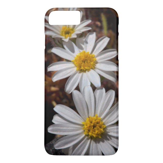 Desert Star Wildflowers Case-Mate iPhone Case (Back)