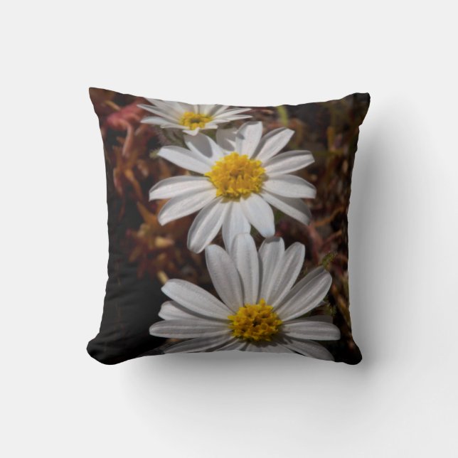 Desert Star Wildflowers Cushion (Front)