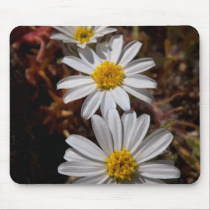 Desert Star Wildflowers Mouse Mat
