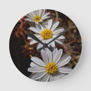 Desert Star Wildflowers Round Clock
