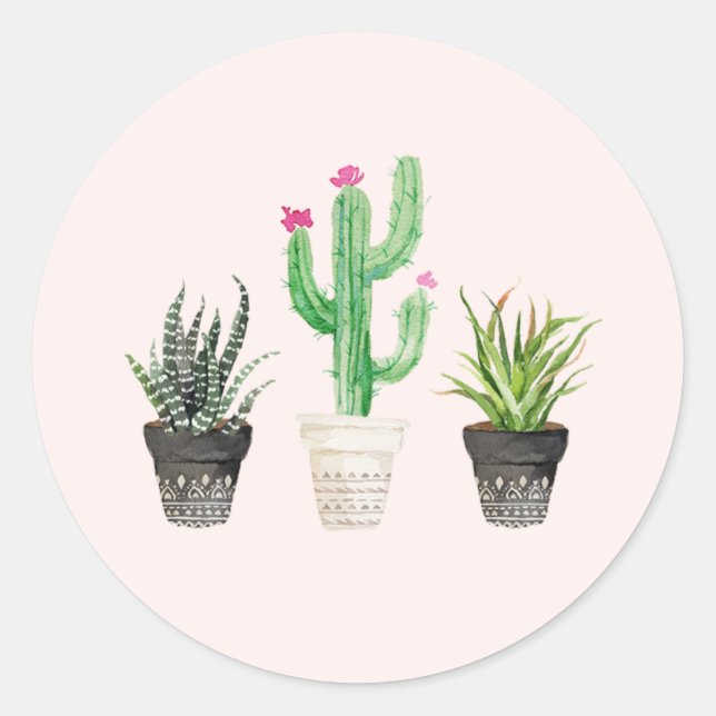 Desert Succulent Cactus Favour Stickers - Pink (Front)