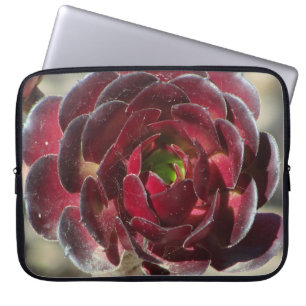 Desert Succulent Photo Gardener Red Garden Plant Laptop Sleeve