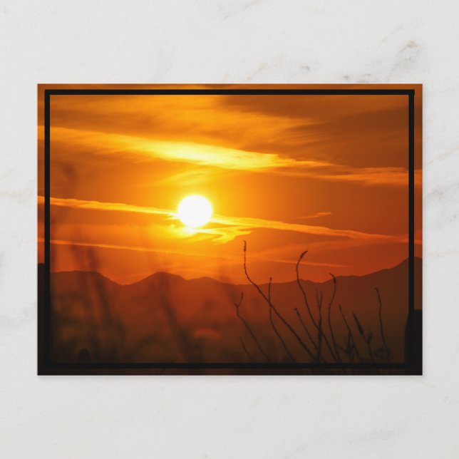 Desert Sun Postcard (Front)