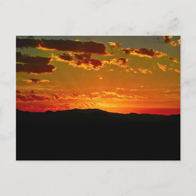 Desert Sunrise  Postcard (Front)