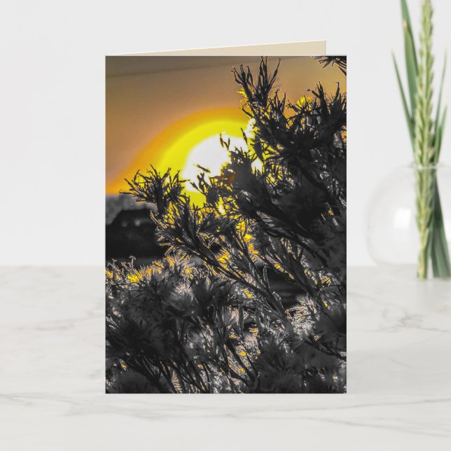 Desert Sunset Blank Greeting Card (Front)