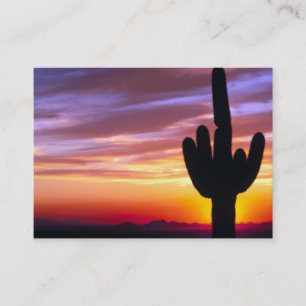 Desert Sunset Cactus Business Card