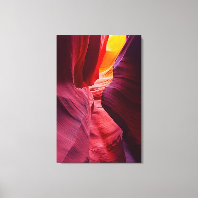Desert Symphony Canvas Print (Front)