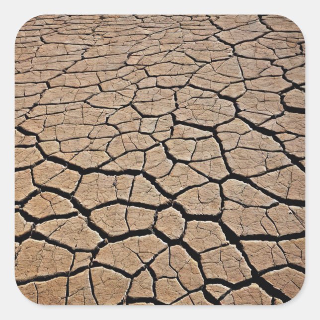 Desert Texture Square Sticker (Front)