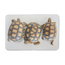 Desert tortoise bath mat