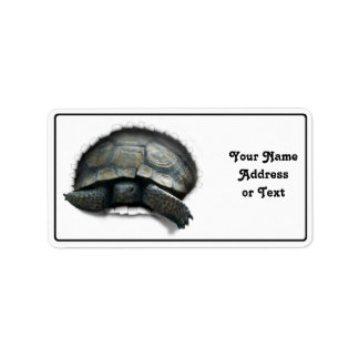 DESERT TORTOISE COMING OUT! LABEL