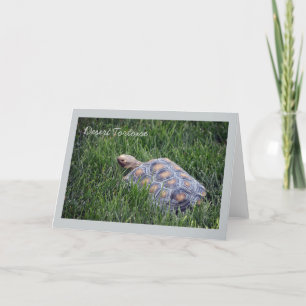 Desert Tortoise in Green Grass Greeting Card