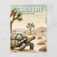 Desert Tortoise in Joshua Tree National Park