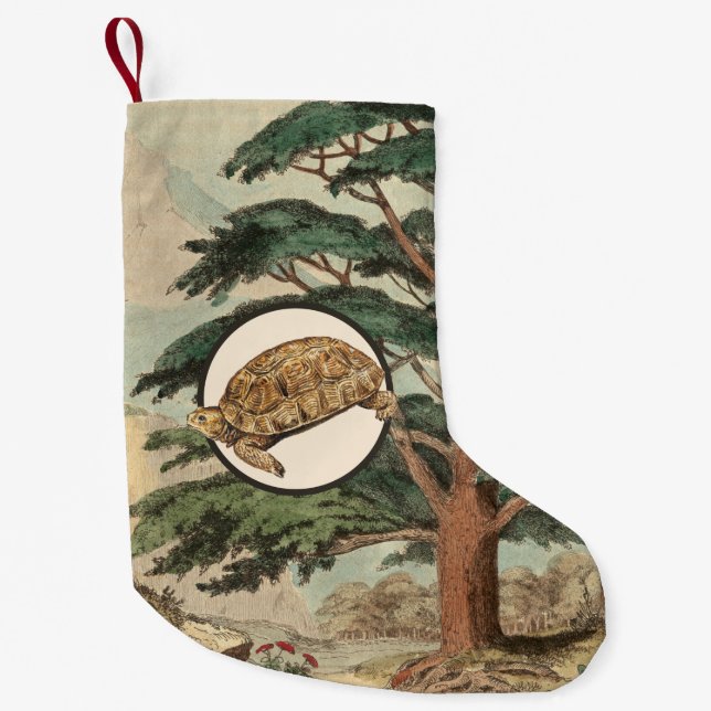 Desert Tortoise In Natural Habitat Illustration Small Christmas Stocking (Front)