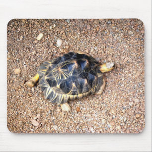 desert tortoise mouse mat