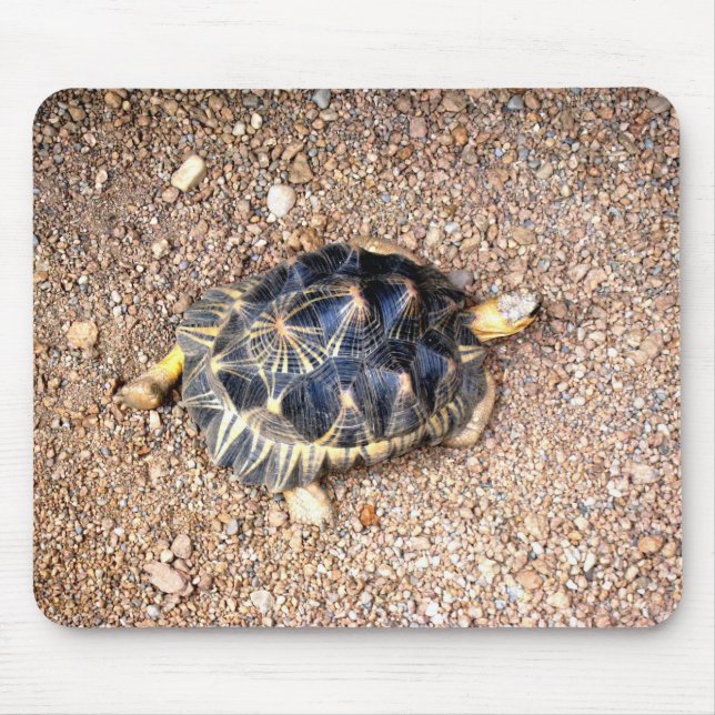 desert tortoise mouse mat (Front)