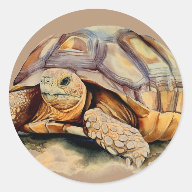 Desert Tortoise Round Stickers (Front)