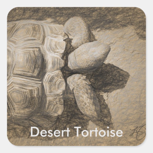 Desert Tortoise Stickers (Front)