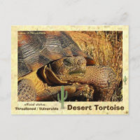Desert Tortoises are threatened with extinction -