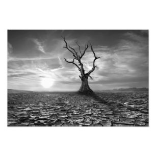 Desert Tree Photo Print