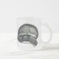 DESERT TURTLE, COMING AT YA