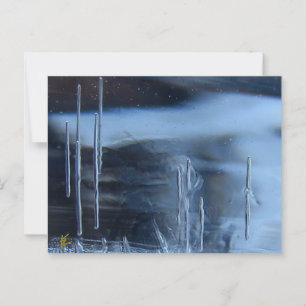 Desert Vision Quest, Saguaro at Night Postcard