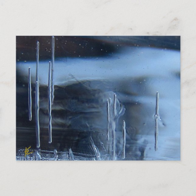 Desert Vision Quest, Saguaro at Night Postcard (Front)