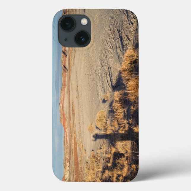 Desert Wave: Petrified Forest National Park Case-Mate iPhone Case (Back)