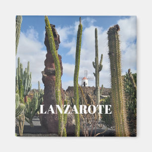 “Desert Windmill and Cactus” Magnet