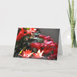 Desert Winter Too Holiday Card