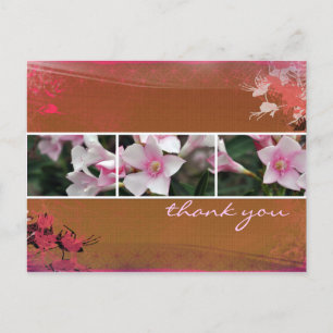 DesertBotanicals Postcard - brown
