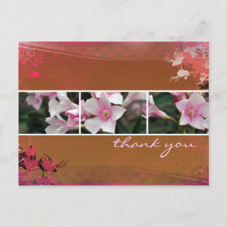 DesertBotanicals Postcard - brown