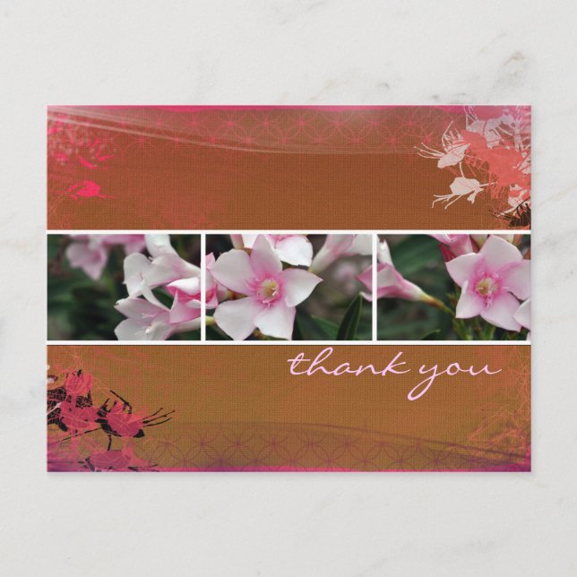 DesertBotanicals Postcard - brown (Front)