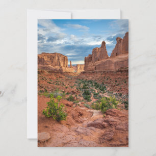 Deserts Arches National Park, Utah Thank You Card