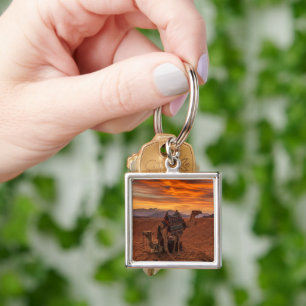 Deserts   Bactrian Camel Egypt Sand Dune Key Ring