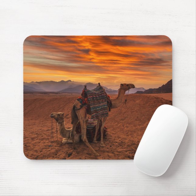 Deserts | Bactrian Camel Egypt Sand Dune Mouse Mat (With Mouse)