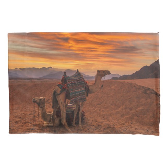 Deserts | Bactrian Camel Egypt Sand Dune Pillowcase (Front)