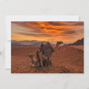 Deserts Bactrian Camel Egypt Sand Dune Thank You Card