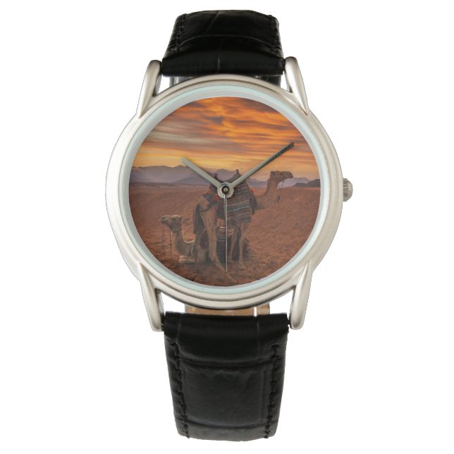 Deserts | Bactrian Camel Egypt Sand Dune Watch (Front)