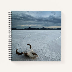 Deserts Bonneville Salt Flats Utah Notebook