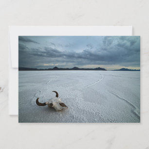 Deserts   Bonneville Salt Flats Utah Thank You Card