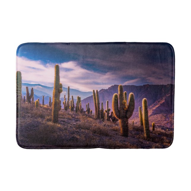 Deserts | Cactus Landscape Argentina Bath Mat (Front)
