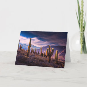 Deserts   Cactus Landscape Argentina Card