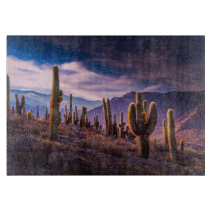 Deserts Cactus Landscape Argentina Cutting Board
