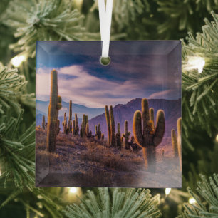Deserts Cactus Landscape Argentina Glass Tree Decoration