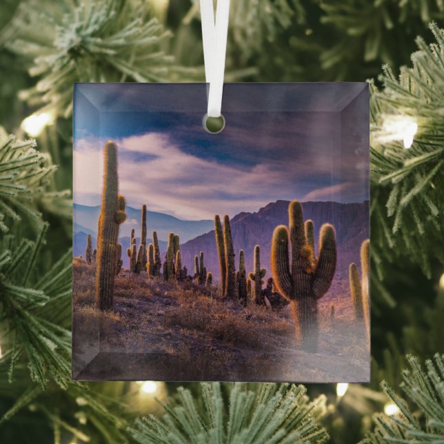 Deserts | Cactus Landscape Argentina Glass Tree Decoration (Insitu)