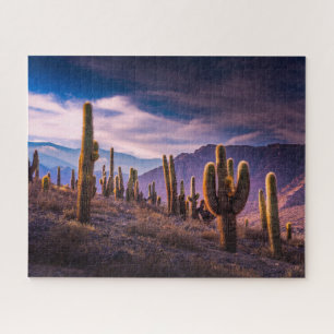 Deserts   Cactus Landscape Argentina Jigsaw Puzzle