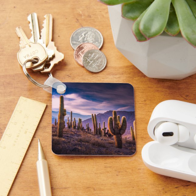 Deserts | Cactus Landscape Argentina Key Ring (Desk)
