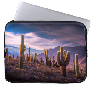 Deserts   Cactus Landscape Argentina Laptop Sleeve