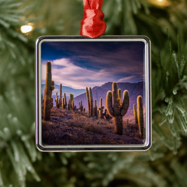 Deserts | Cactus Landscape Argentina Metal Tree Decoration (Tree)