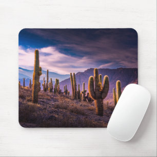 Deserts Cactus Landscape Argentina Mouse Mat